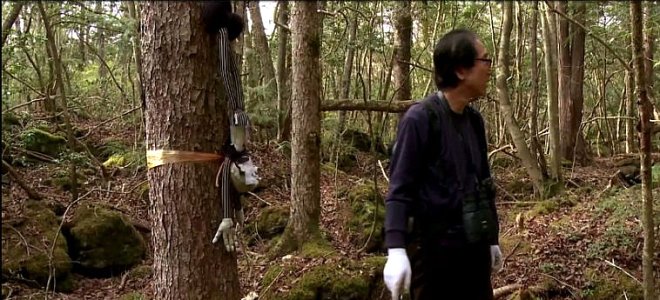 Bu ormana adÄ±m atan intihar ediyor! Korku filmlerine bile konu olan: Aokigahara
