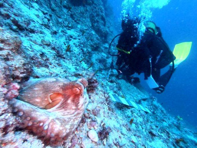Antalya'da bulunan 3 bin 600 yıllık gemide çalışmalar başladı! Dünyanın en eski batığı