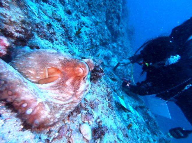 Antalya'da bulunan 3 bin 600 yıllık gemide çalışmalar başladı! Dünyanın en eski batığı
