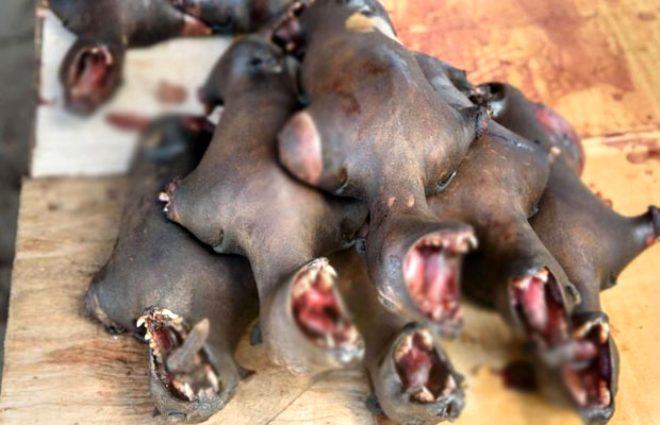 Bu kez Çin değil! Vahşi hayvanların canlı canlı kaynatıldığı Tomohon Pazarı’nda koronavirüs riski
