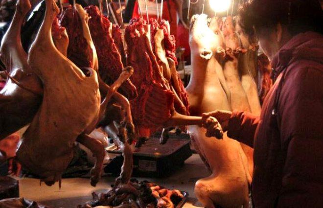 Ãlümcül virüsün yayıldıÄı pazarla ilgili uzmanlardan korkutan uyarı: Daha kötüsü gelecek