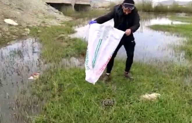 Çatıdan giren yılanlar evi talan etti! Ailenin korkup kaçtığı evden 20 tane daha çıktı