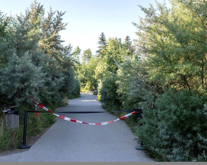 Kaplan, kafesine giren 55 yaşındaki görevli kadını ziyaretçilerin gözü önünde parçalayarak öldürdü