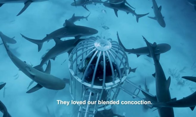 YouTuber Mark Rober'ın çılgın deneyi yürekleri ağızlara getirdi! Okyanusa kan döküp köpekbalıklarının arasına daldı