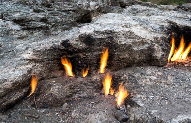 TOPLAM 50 GAZ ÇIKIŞ BACASI VAR