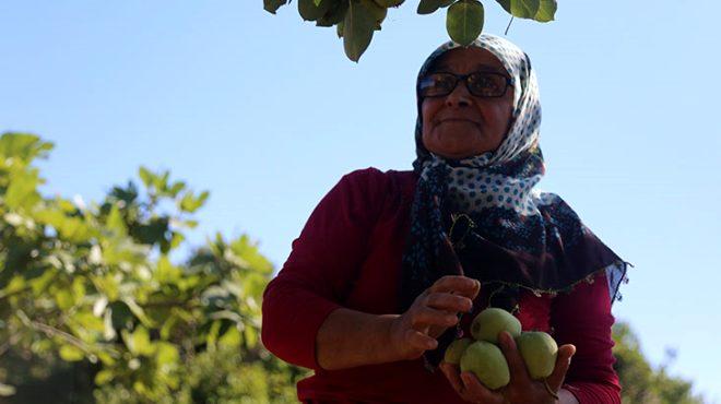 Kocaeli’deki Kefken Adası’nda sadece bir aile yaşıyor Yıllardır..
