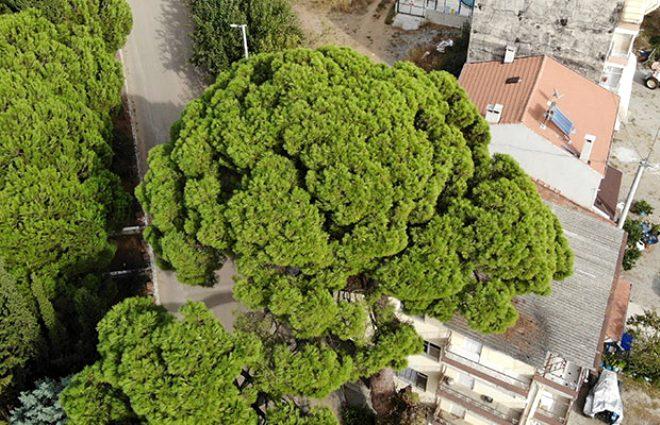 Tabiat harikası köyüne 7 tane tabela taktırdı, yine de kimse bulamıyor