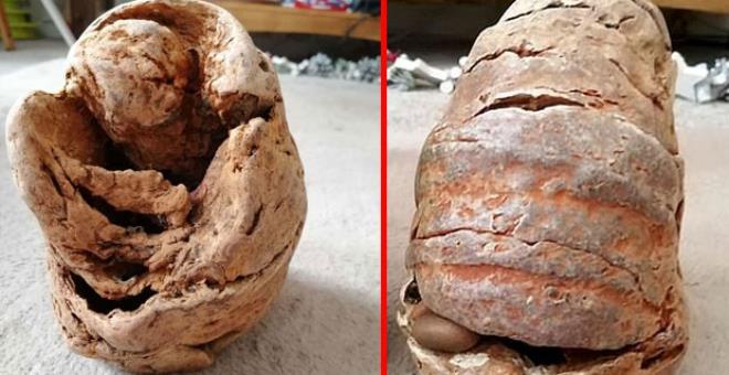 Fosil zannedip eve götürdükleri nesne bomba çıktı! Sıcak iğneyle deldikleri an patladı