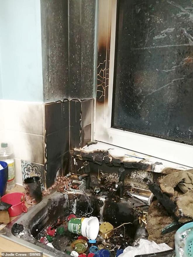 Fosil zannedip eve götürdükleri nesne bomba çıktı! Sıcak iğneyle deldikleri an patladı