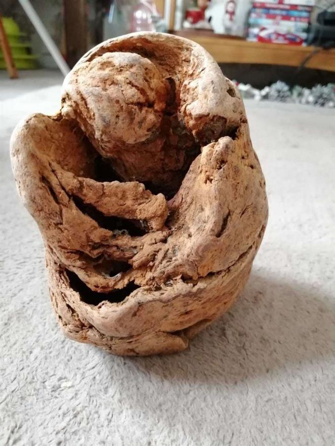 Fosil zannedip eve götürdükleri nesne bomba çıktı! Sıcak iğneyle deldikleri an patladı