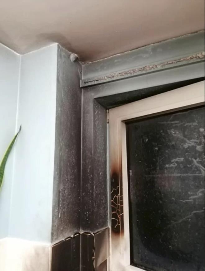 Fosil zannedip eve götürdükleri nesne bomba çıktı! Sıcak iğneyle deldikleri an patladı