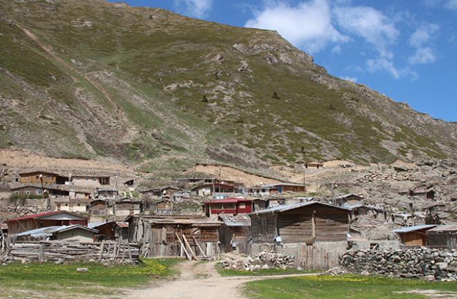 Karadeniz zekası yine devrede! Kışın yatırıyorlar, baharda kaldırıyorlar