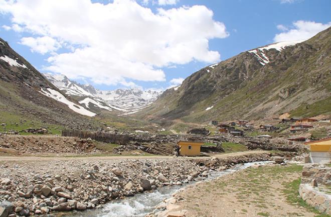 Karadeniz zekası yine devrede! Kışın yatırıyorlar, baharda kaldırıyorlar