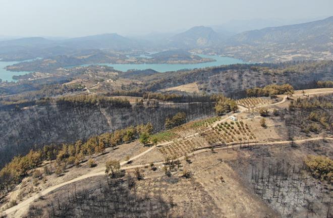 9 gün boyunca yanan Marmaris'ten geriye bu manzaralar kaldı