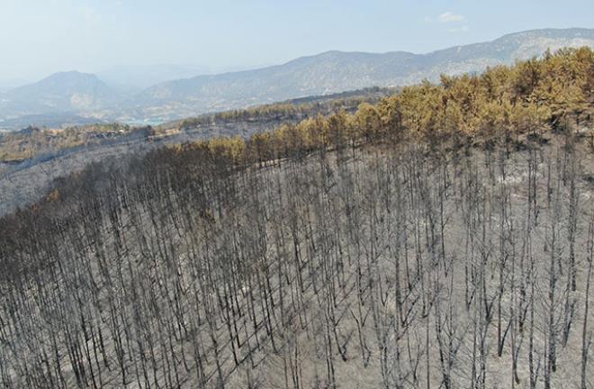 9 gün boyunca yanan Marmaris'ten geriye bu manzaralar kaldı