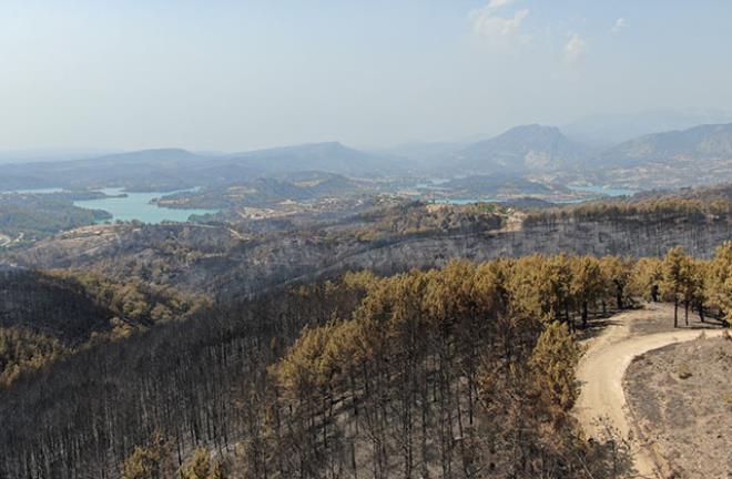 9 gün boyunca yanan Marmaris'ten geriye bu manzaralar kaldı