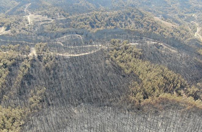 9 gün boyunca yanan Marmaris'ten geriye bu manzaralar kaldı