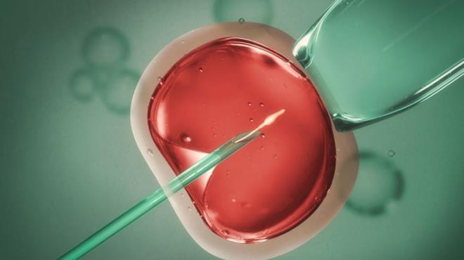 Kadın hastalarına kendi spermlerini enjekte eden doktor, 21 çocuğun babası çıktı - Resim 6