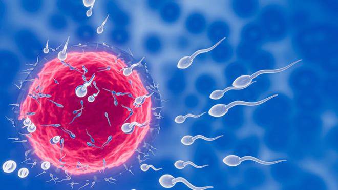 Kadın hastalarına kendi spermlerini enjekte eden doktor, 21 çocuğun babası çıktı - Resim 3