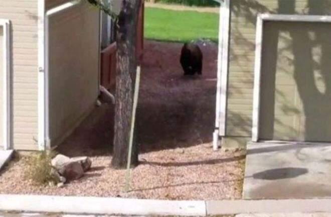 Rögardan gelen sesler halkı huzursuz etti! Yetkililer kapağı açar açmaz kaçtı