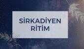 Sirkadiyen ritim ve beslenme