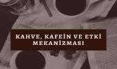 Kahve, kafein ve etki mekanizması