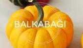 Balkabağı