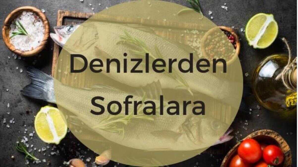 Haber Detay Image