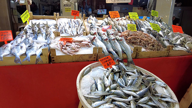 Balık fiyatları neden düştü? tezgahlar doldu taştı