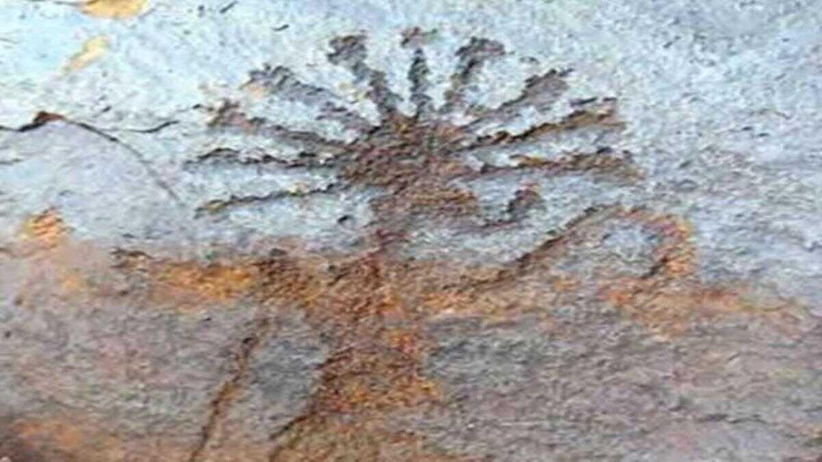 Haber Detay Image