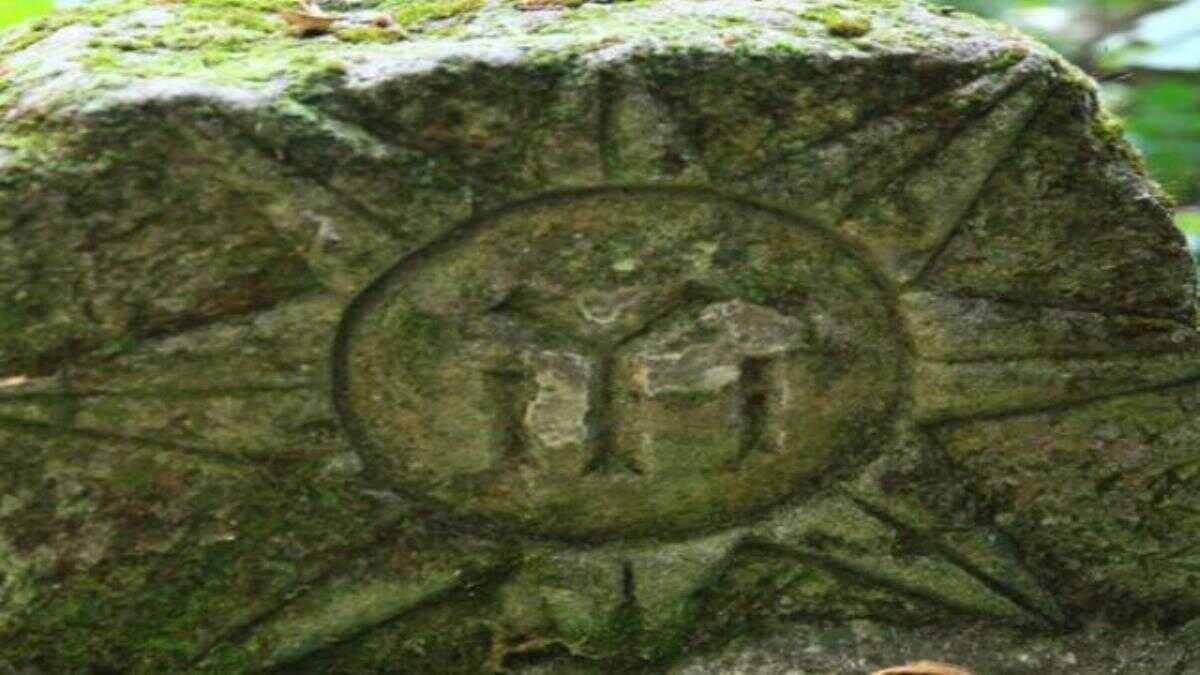 Haber Detay Image