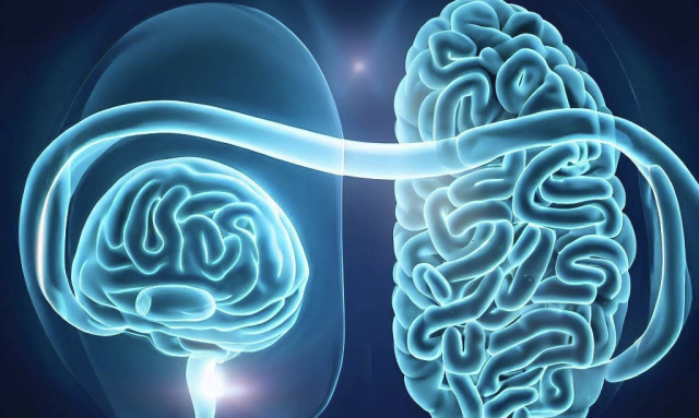 Beslenme ve beyin Sağlığı Arasındaki Bağlantı