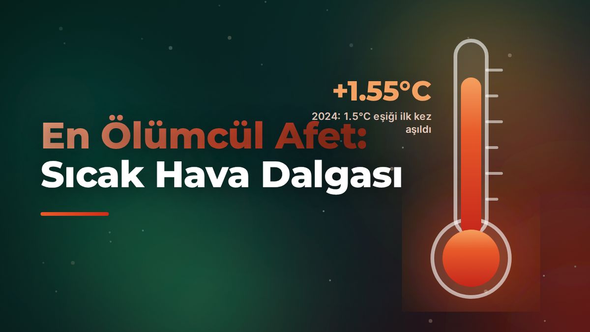 Haber Detay Image