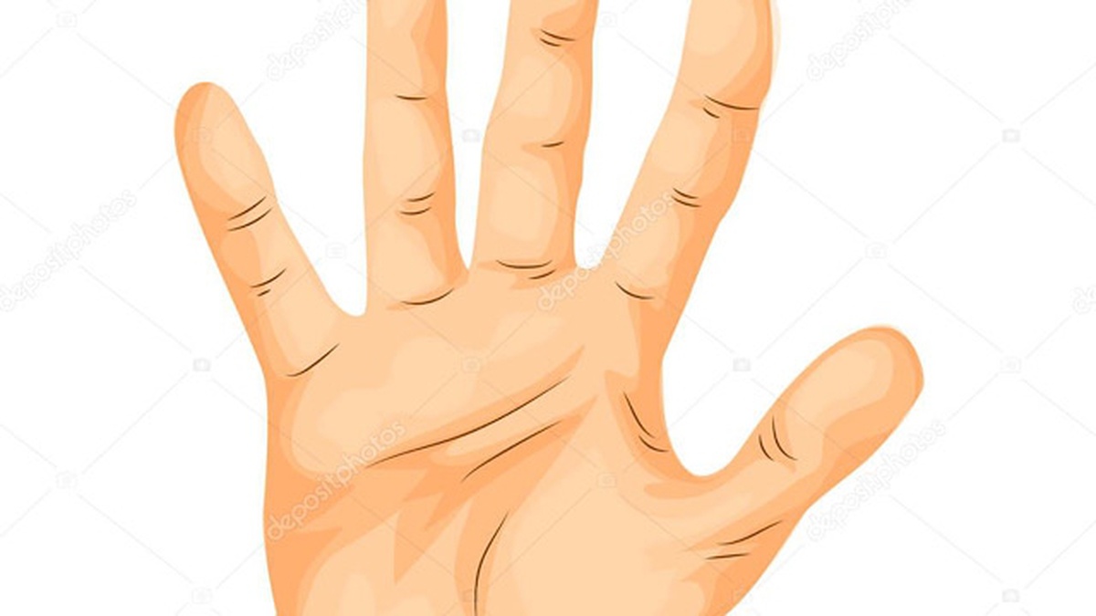 Haber Detay Image
