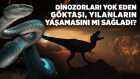 Dinozorları Yok Eden Göktaşı, Yılanların Yaşamasını Mı Sağladı?