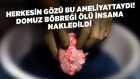 https://foto.haberler.com/genel/youtube/herkesin-gozu-bu-ameliyattaydi-domuz-bobregi-olu-tockY5n7HJc.jpg