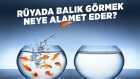 https://foto.haberler.com/genel/youtube/ruyada-balik-gormek-neye-alamet-eder-gKrUiUWljj8.jpg