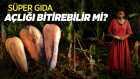 https://foto.haberler.com/genel/youtube/super-gida-acligi-bitirebilir-mi-J_T1ke9EjKQ.jpg