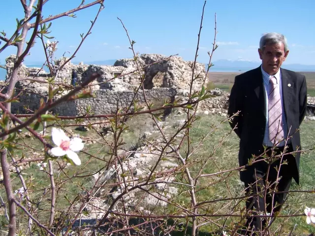 Kubadabad Saraylarının Uzay Çatıyla Korunması