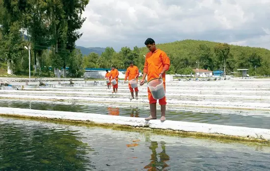 Bağcı Balık, İhracat Çıtasını Yükseltiyor