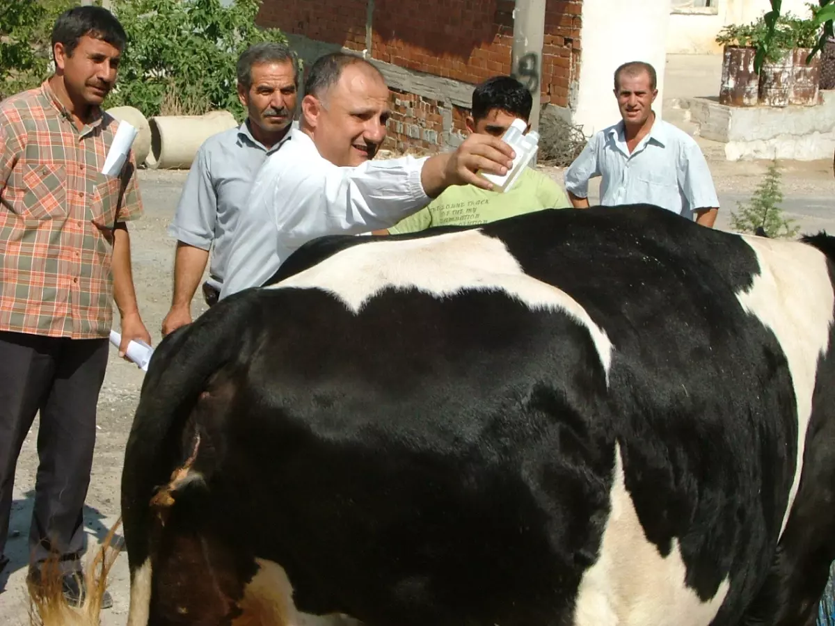 Oldurucu Keneye Karsi Besicilere Ucretsiz Ilac Dagitildi Haberler