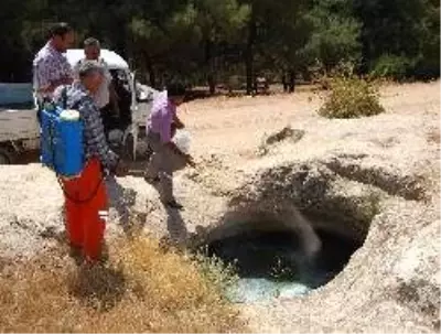Şehitkamil Belediyesi, Dülük Antik Kenti'nde temizlik çalışması yaptı Şehitkamil Belediyesi, Dülük Antik Kenti'nde temizlik çalışması yaptı