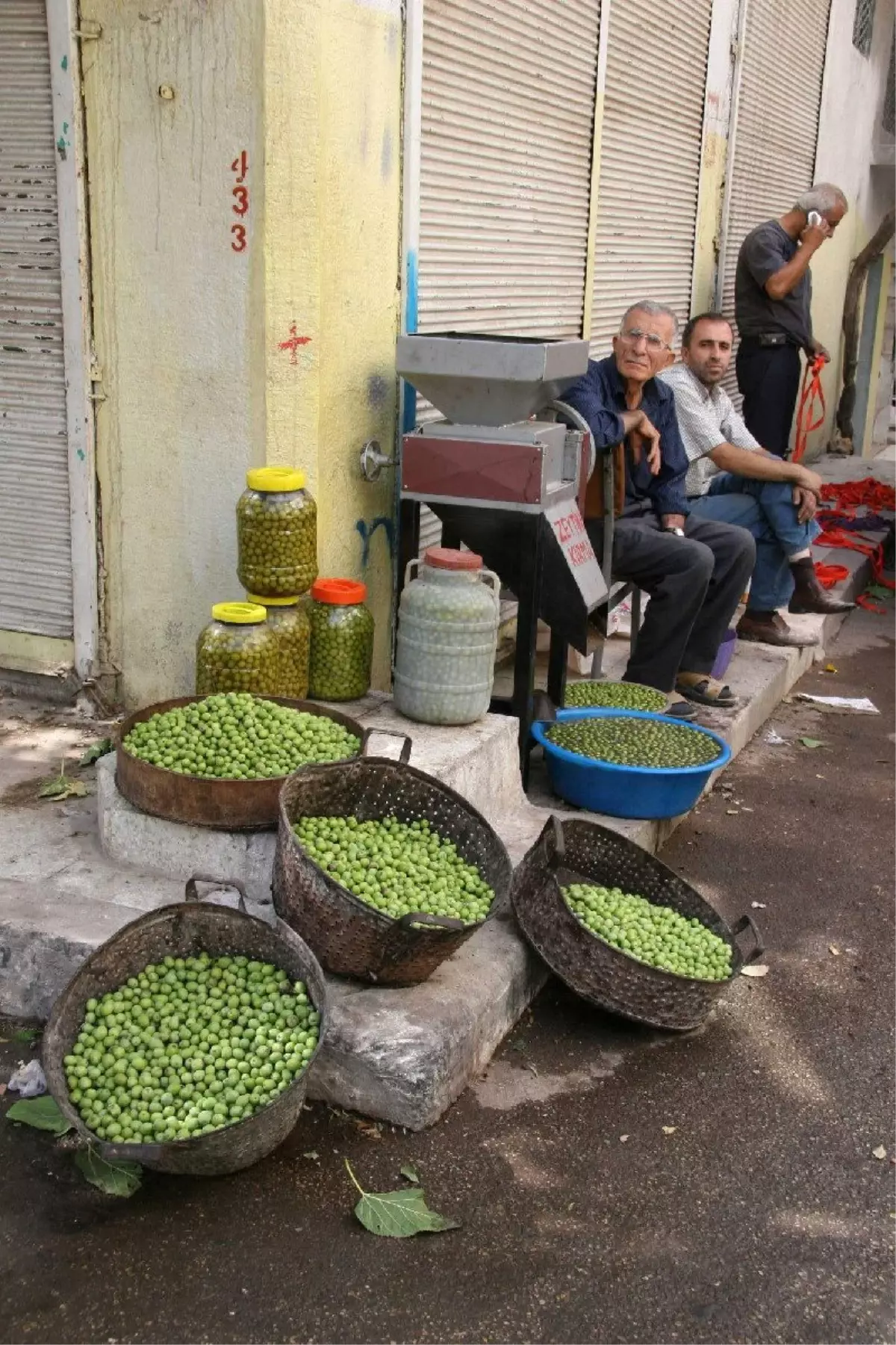 Kilis Te Sofralik Yesil Zeytin Piyasada Haber
