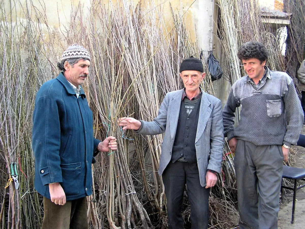 Kutahya Da Fidan Satislari Basladi Haberler