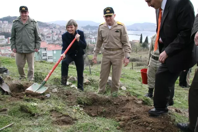 Askerler Ağaç Dikti