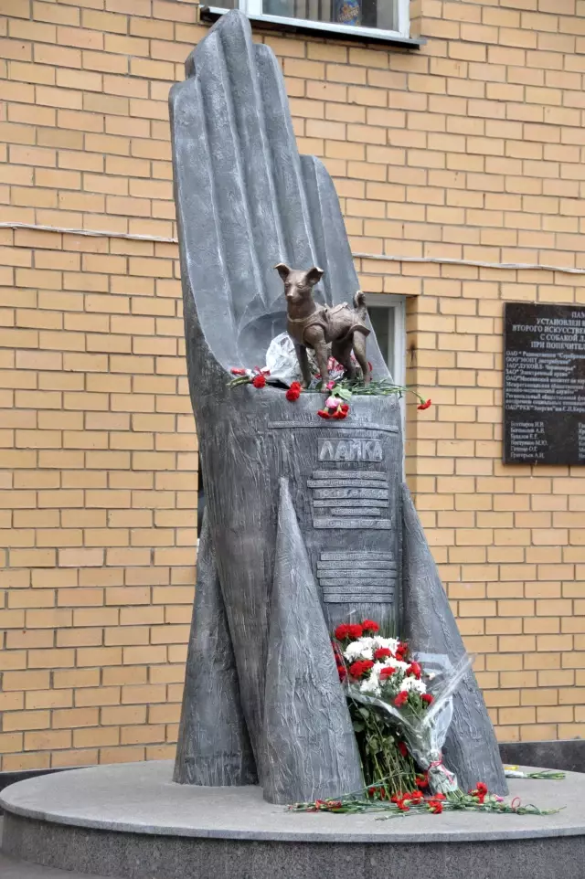 Rusya�da uzaya gönderilen ilk astronot köpek Layka�nın heykeli dikildi