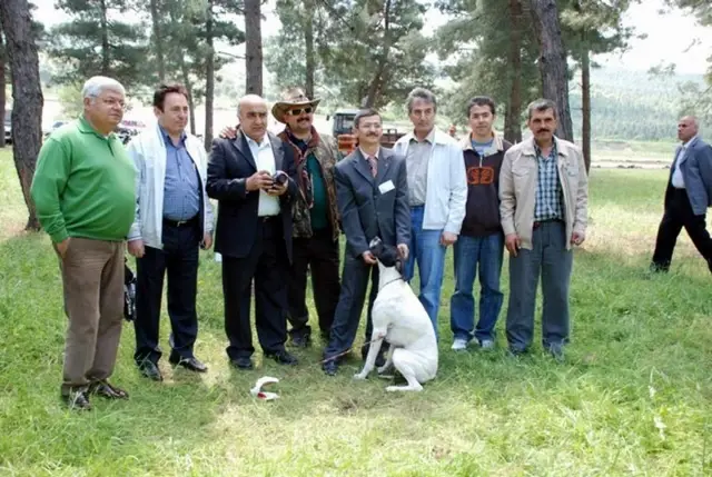 Gönen'de Av Köpekleri Yarıştı Gönen'de Av Köpekleri Yarıştı
