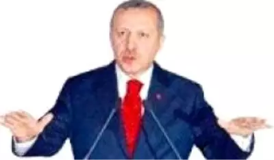 Hazine Arazilerini Tarıma Açma Planıyla Gap Çıkarması Hazine Arazilerini Tarıma Açma Planıyla Gap Çıkarması