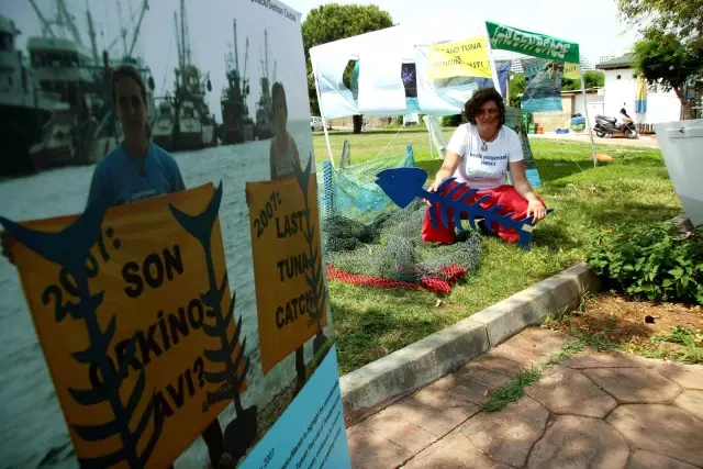 Greenpeace Den Akdeniz I Koruyoruz Sergisi Haber