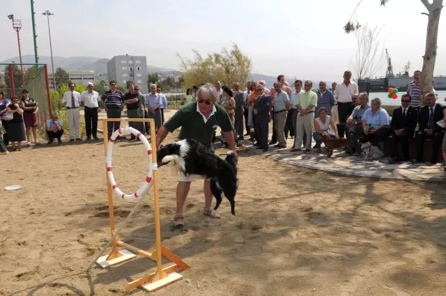 Turkiye Nin Ilk Kopek Parki Acildi Haberler